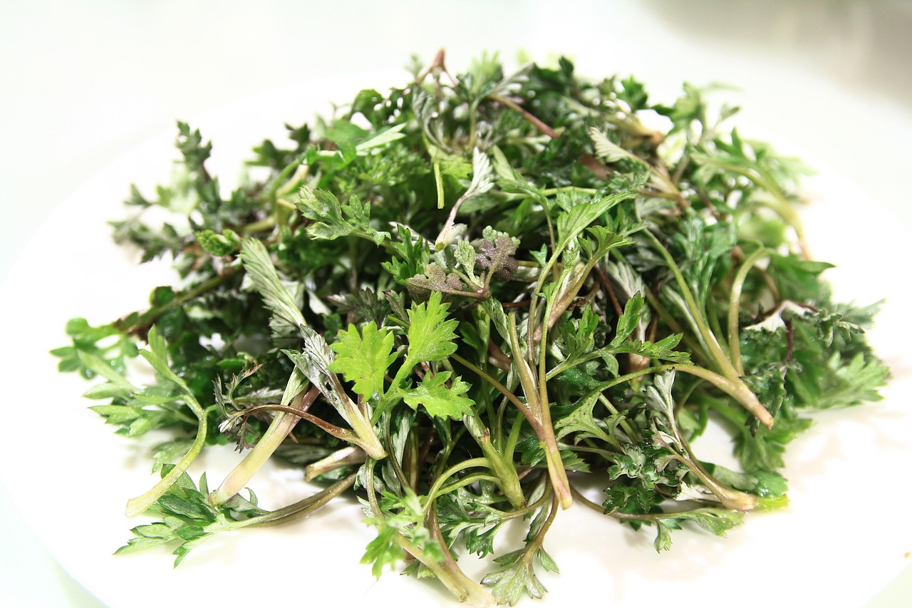 Mugwort in K-Beauty: Why Korean Skincare Fell for This Bitter Herb