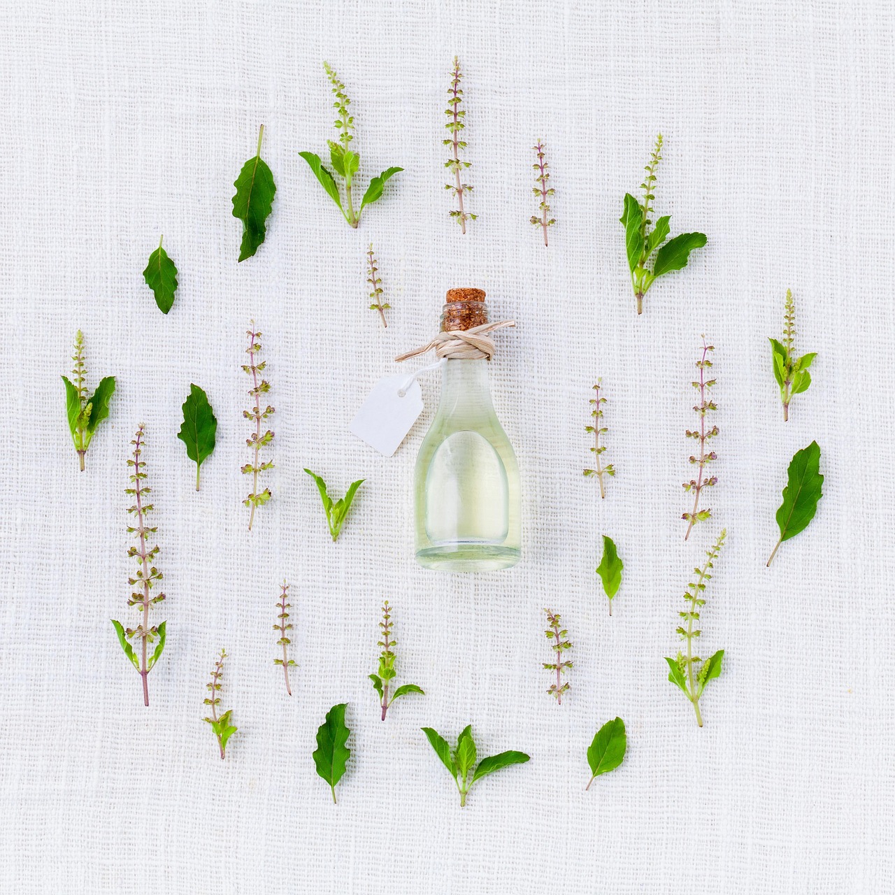 Mugwort Oil Myths vs Facts: What This Storied Botanical Actually Offers